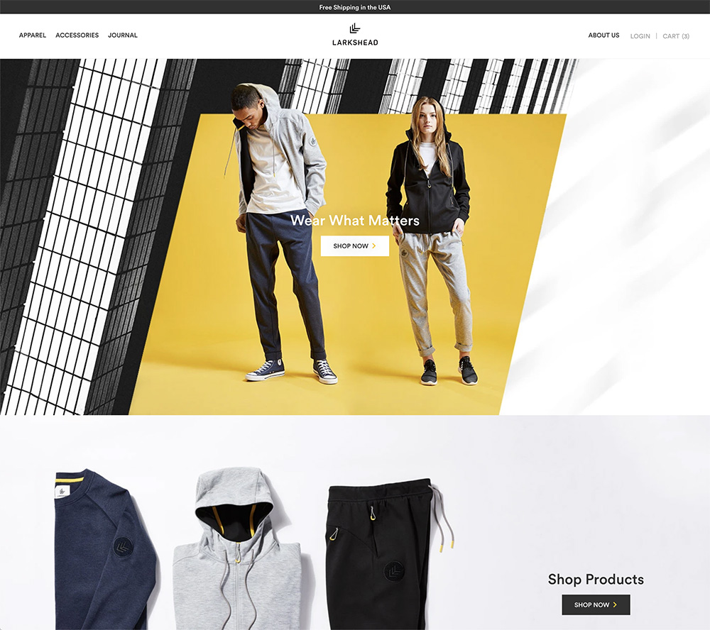 Shopify ecommerce custom website design